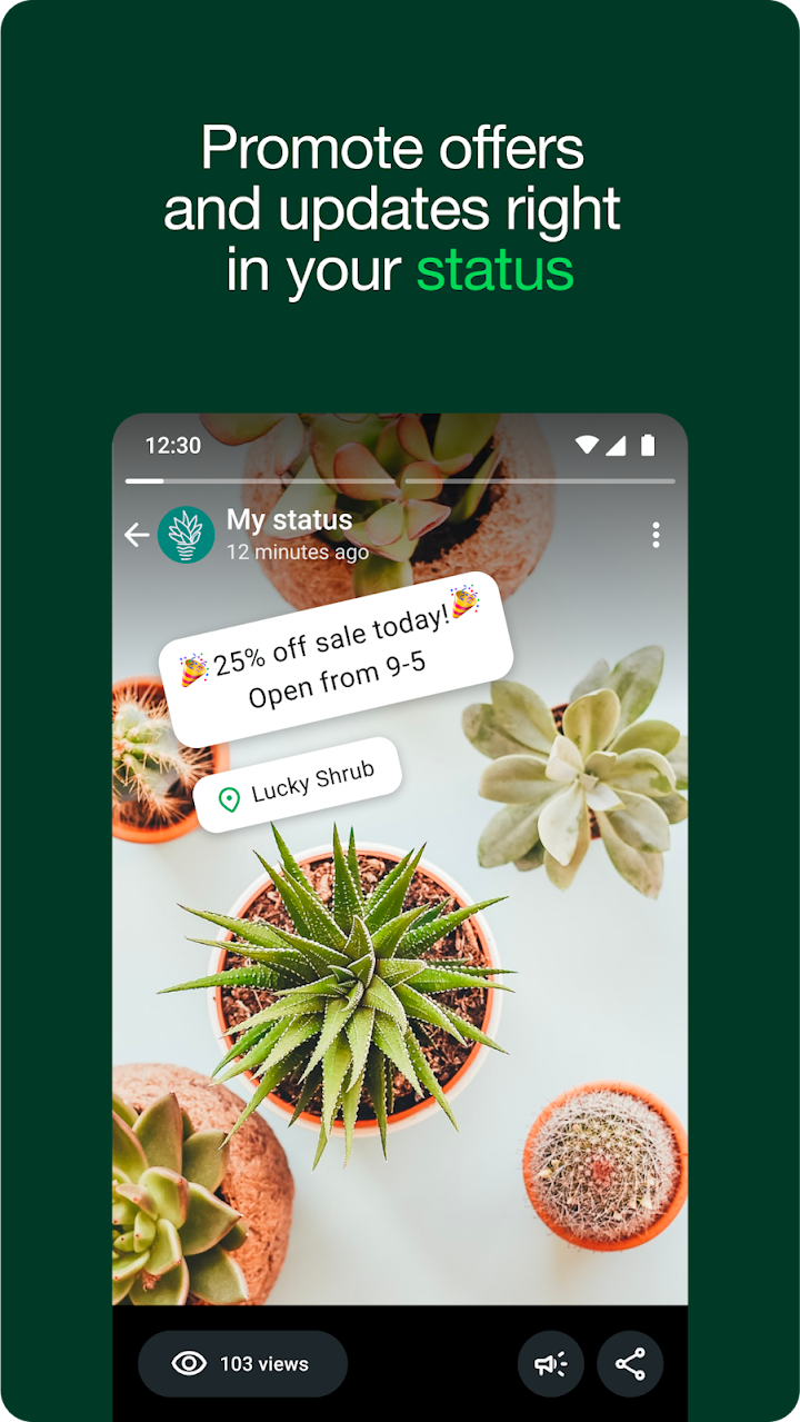 WhatsApp Business screenshot